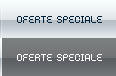 Oferte Speciale